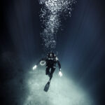 high angle underwater view of diver wearing wet su 2023 11 27 05 24 34 utc