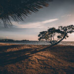 Finding the perfect backdrop stunning purple sunset on a tropical resort near t 2023 11 27 04 52 38 utc